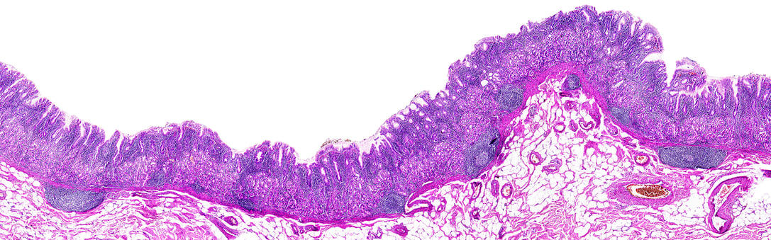 20221005_Digital Pathology2-lores