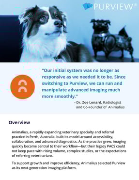 Animalius Case Study