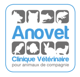 Anovet