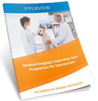 20170512Purview_Medical Imaging Sharing Whitepaper for Vets-1