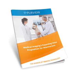 20170512Purview_Medical Imaging Sharing Whitepaper for Vets.png