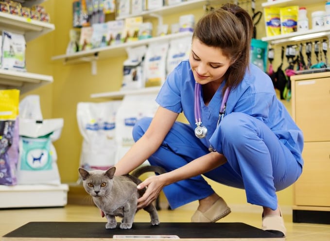 veterinary-teleradiologists.jpg