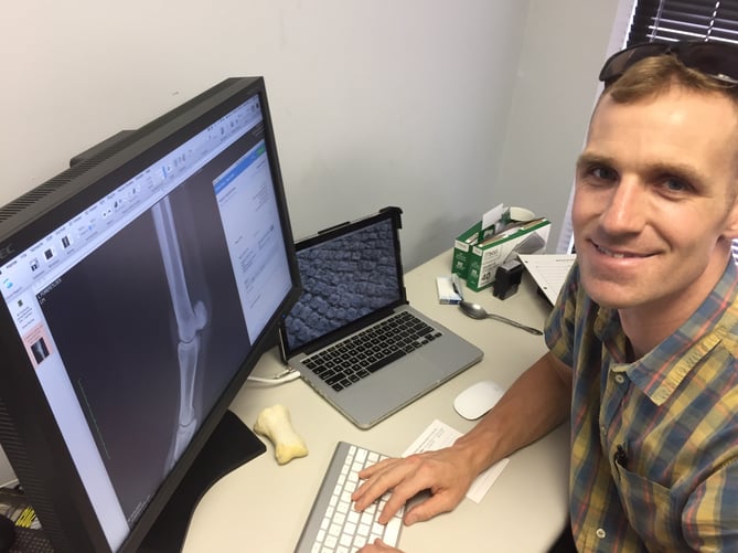 Popular Horos Medical Imaging Platform Launches Cloud Reporting