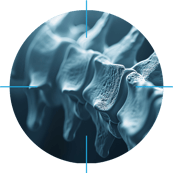 Spine Sm Ref Lines