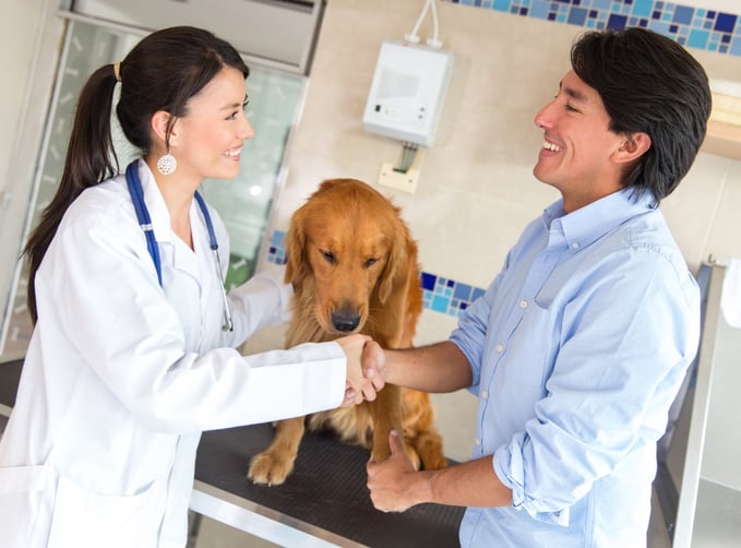 Increase Revenue At Your Veterinary Practice By Sharing Images