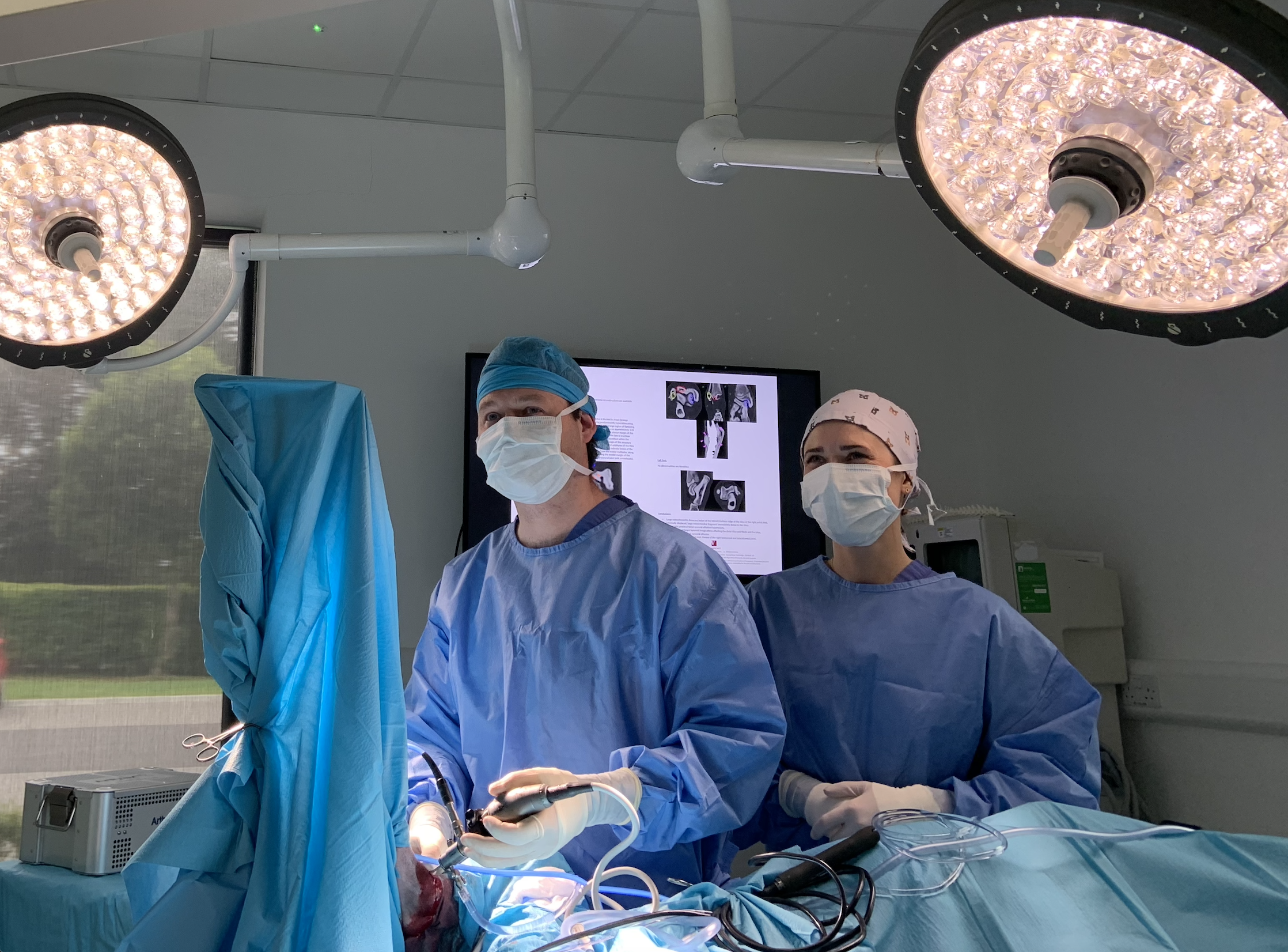 Veterinary Specialists Ireland