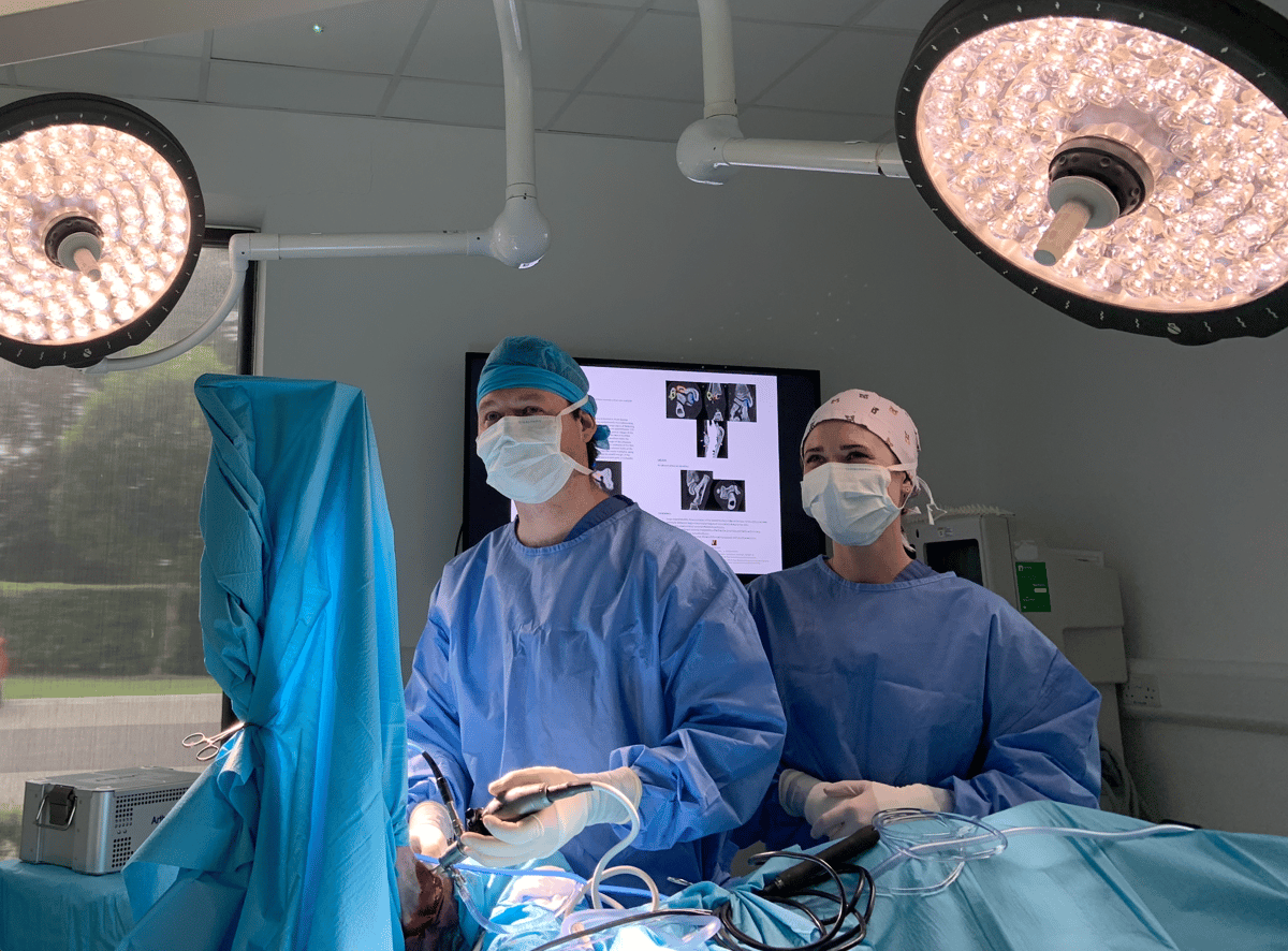Veterinary Specialists Ireland