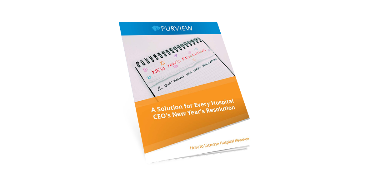 CEO-New-Years-Resolution-White-Paper