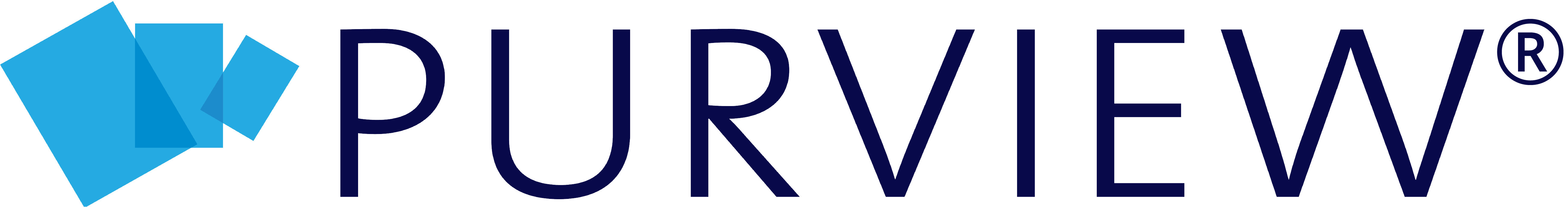 Purview Horizontal Logo_2021