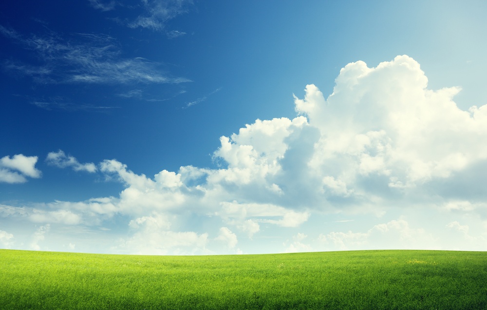 field of grass and perfect sky.jpeg