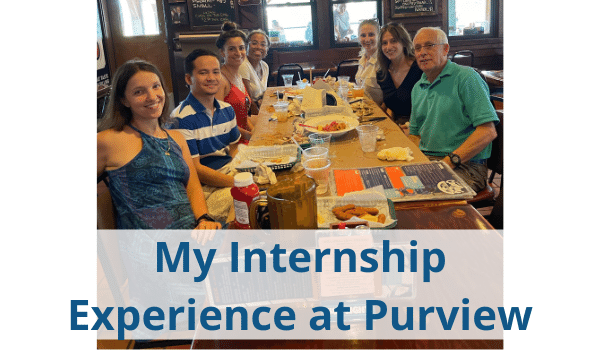 purview summer internship opportunities